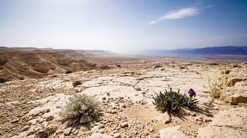 Judean desert — Strength